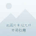 叮!无限求生游戏已上线
