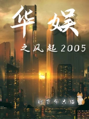 华娱之风起2005